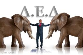 Η νεκρική ακαμψία και η κατάσταση των οφθαλμών αλιευμάτων οδήγησαν τον έλεγχο σε επιβολή προστίμου για μη έκδοση τίτλου κτήσης